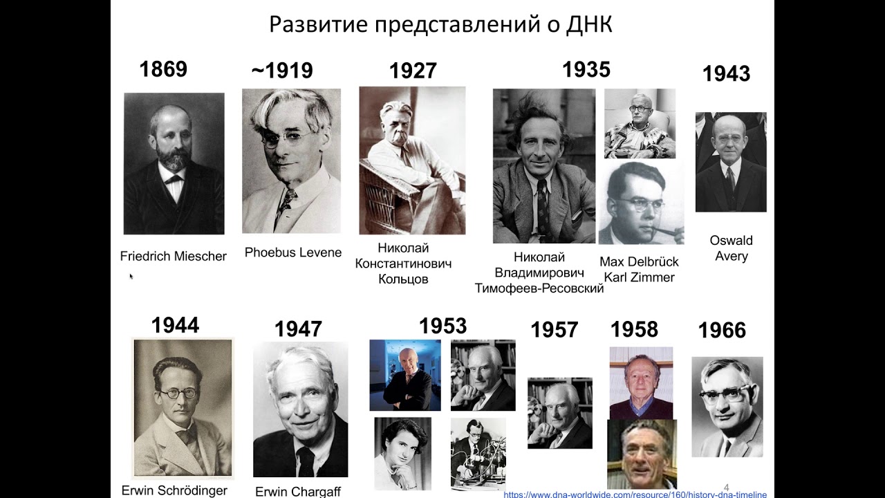 Курс 