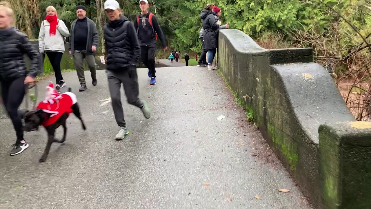 Walking in Vancouver. Short walk around Stanley Park in winter (December 20,2020)