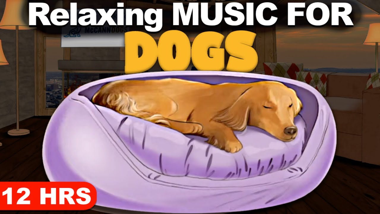 Relaxing Music For Dogs (12Hrs)