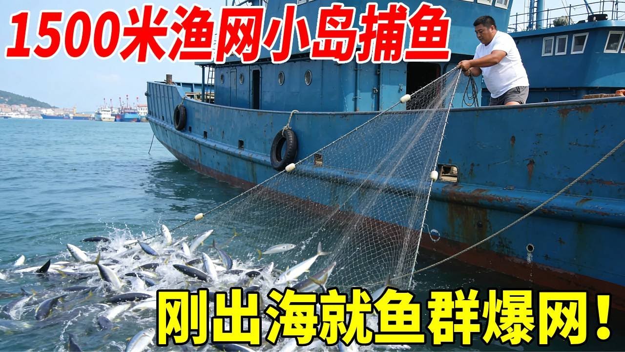 一千五百米渔网放在小岛下方，刚开始就遇到鱼群，要爆网的节奏 #赶海 #丰收 #渔民生活实拍