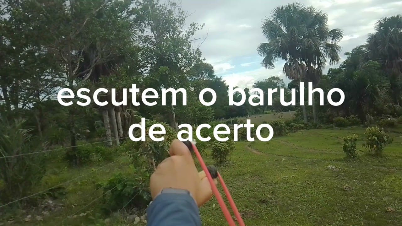 caçada com estilingue ,deu um fritinho