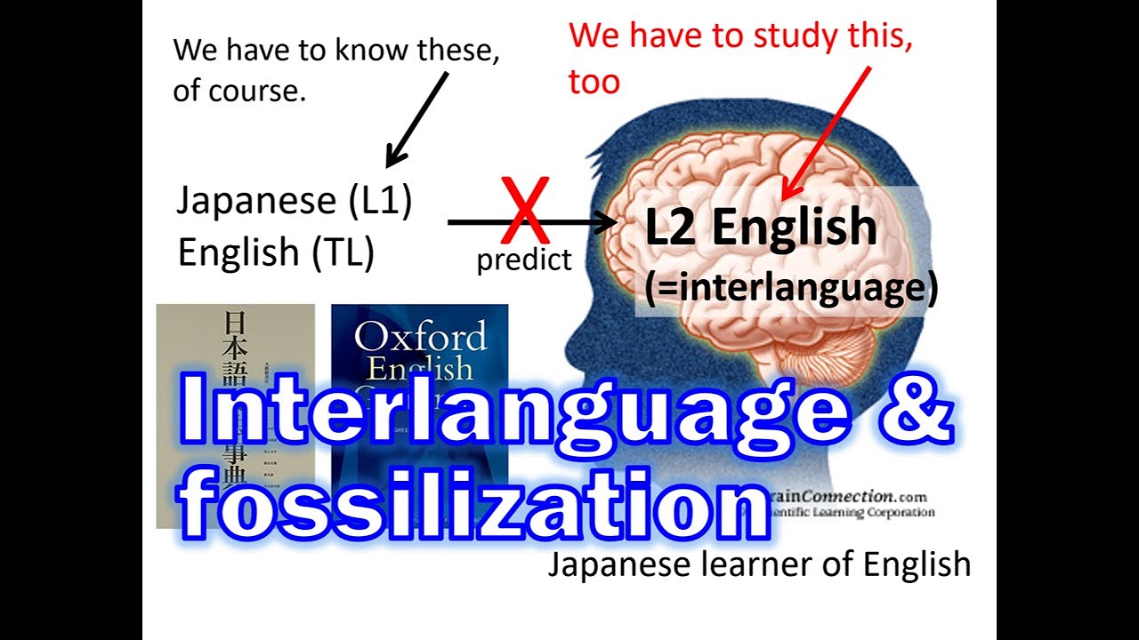 Interlanguage and fossilization in SLA (Second Language Acquisition)
