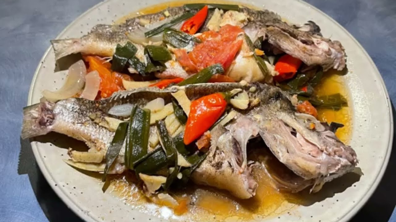 Bream: how to catch, where to find them and what what bait to use