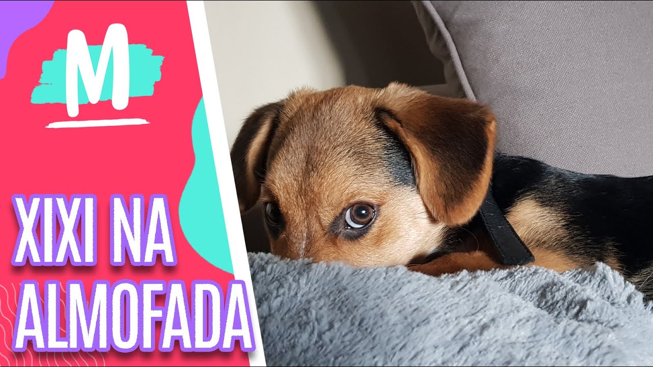 Dicas de limpeza com o Diarista Masculino- Mulheres (24/10/22)