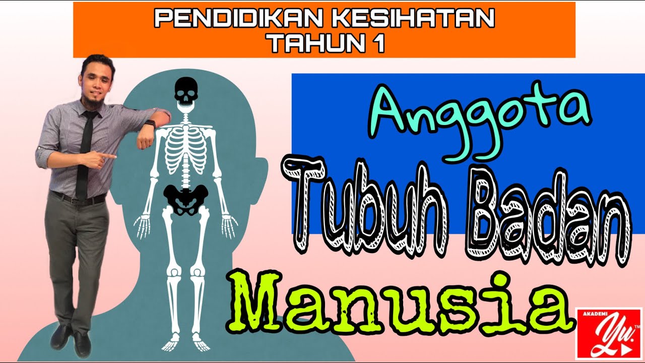 PENDIDIKAN KESIHATAN TAHUN 1- UNIT 1(Anggota Tubuh Badan Lelaki dan Perempuan)#17