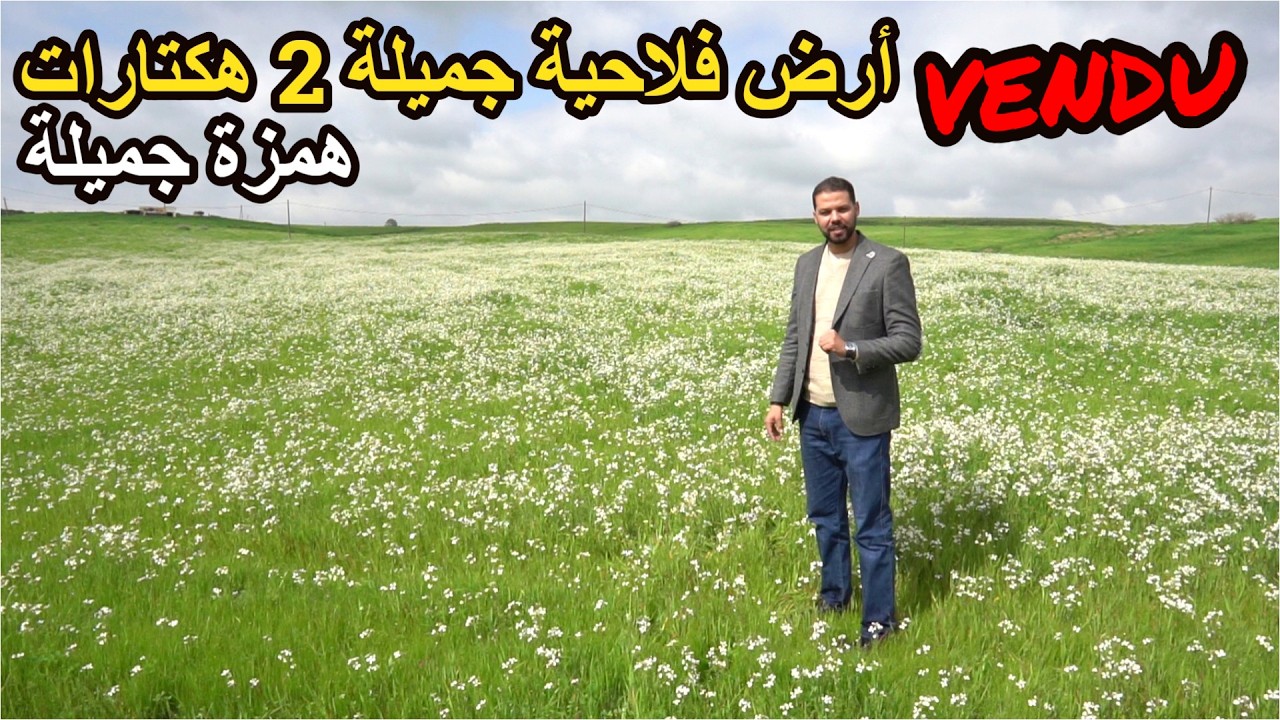 ✨ أرض فلاحية 2 هكتارات بمكان رائع وشكل جميل قرب الجيران✨ تيفلت