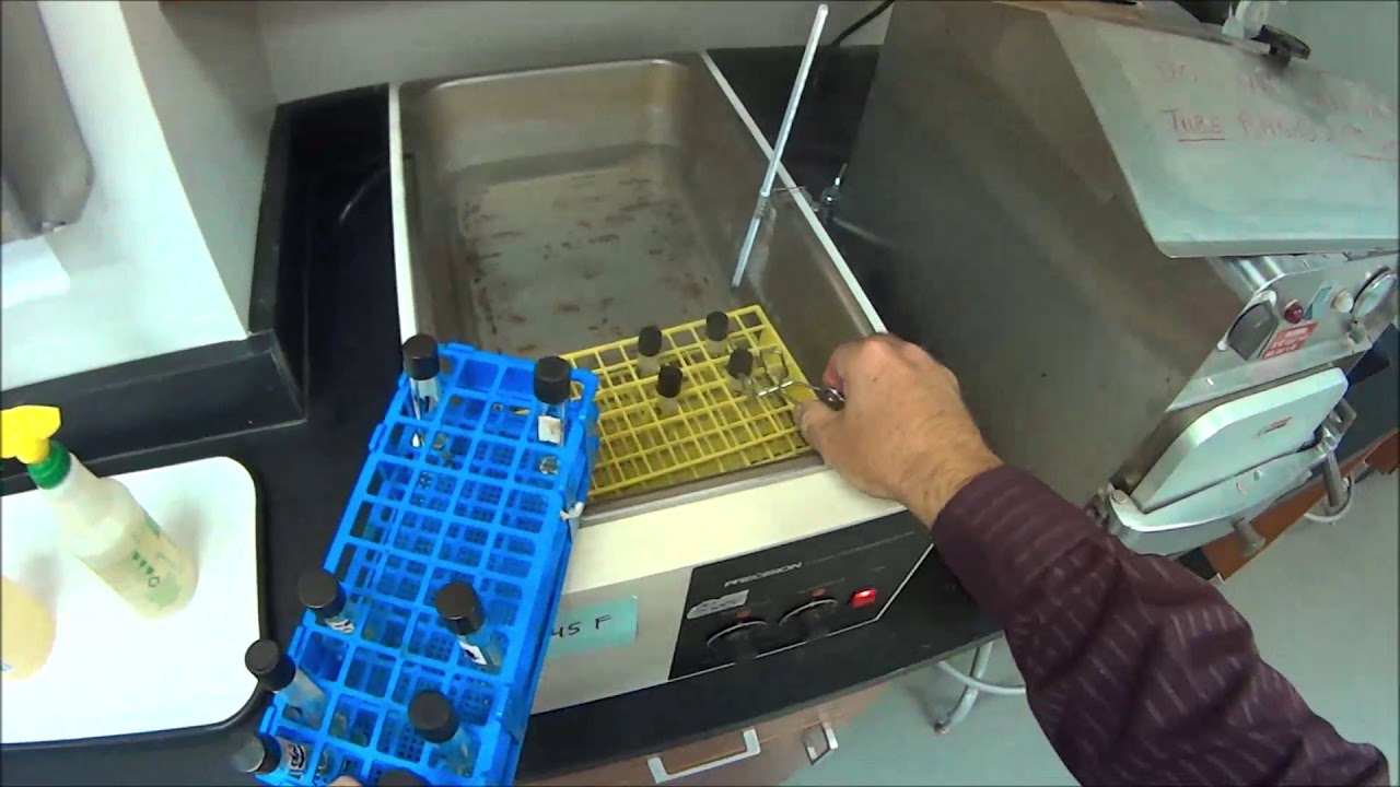 BIOL215L Lab 6 Heat Resistance of Bacteria