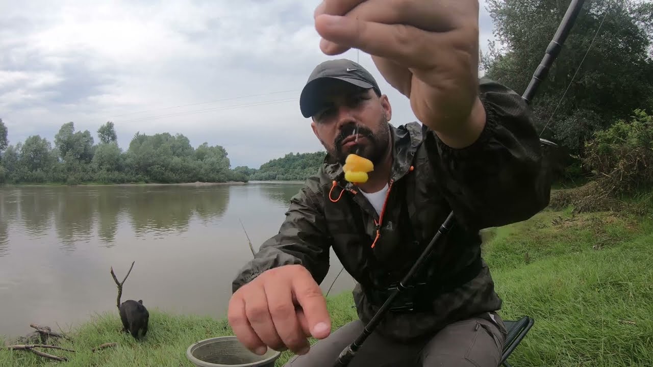 Pescuit la feeder pe Somes. Am prins crap si caras la method !!!!