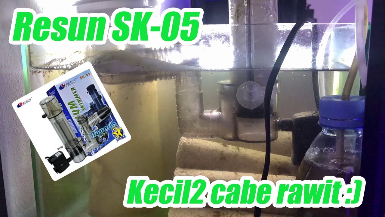 Review protein skimmer Resun SK-05  setelah pemakaian satu bulan  - Lumayan gaes...