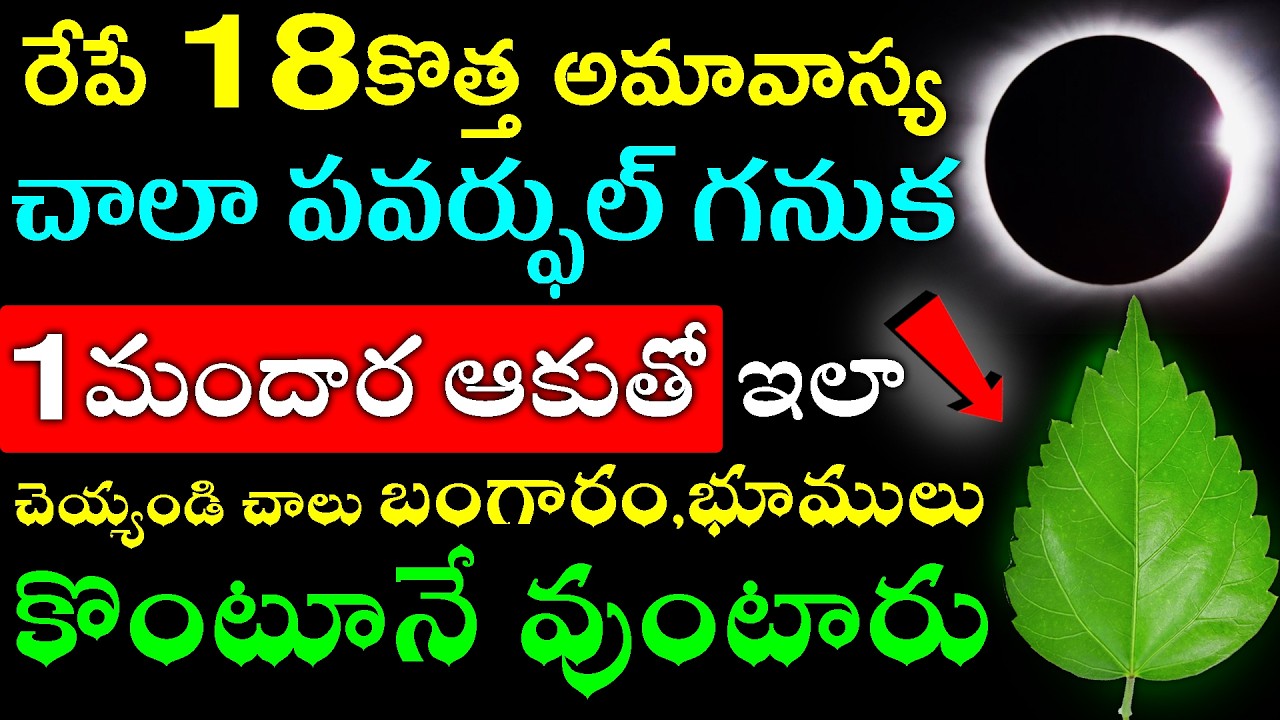 ఈనెల 18కొత్త అమావాస్య చాలా పవర్ఫుల్ గనుక మందార ఆకుతో ఇలా చెయ్యండి చాలు బంగారం,భూములు కొంటూనే వుంటారు