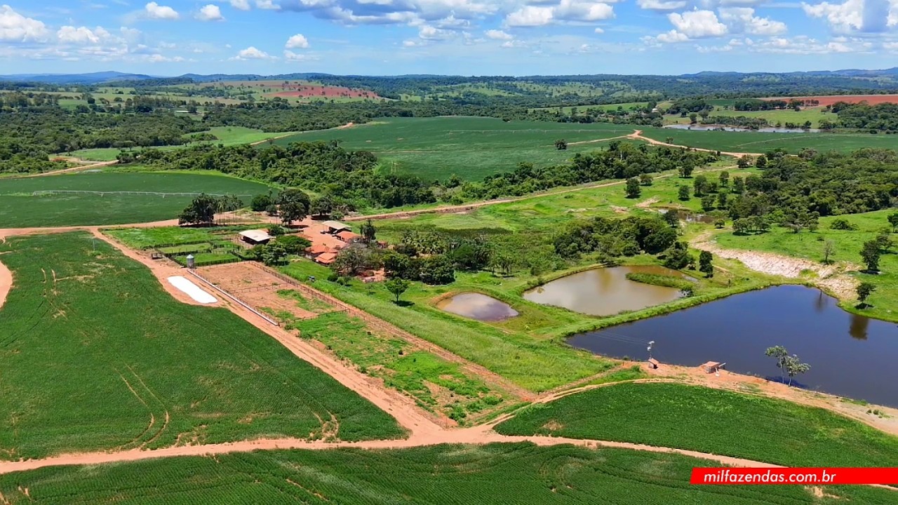 Fazenda á venda de 68.8 alqueires (333 ha) Morrinhos-GO - Propriedade com irrigação #fazendaavenda
