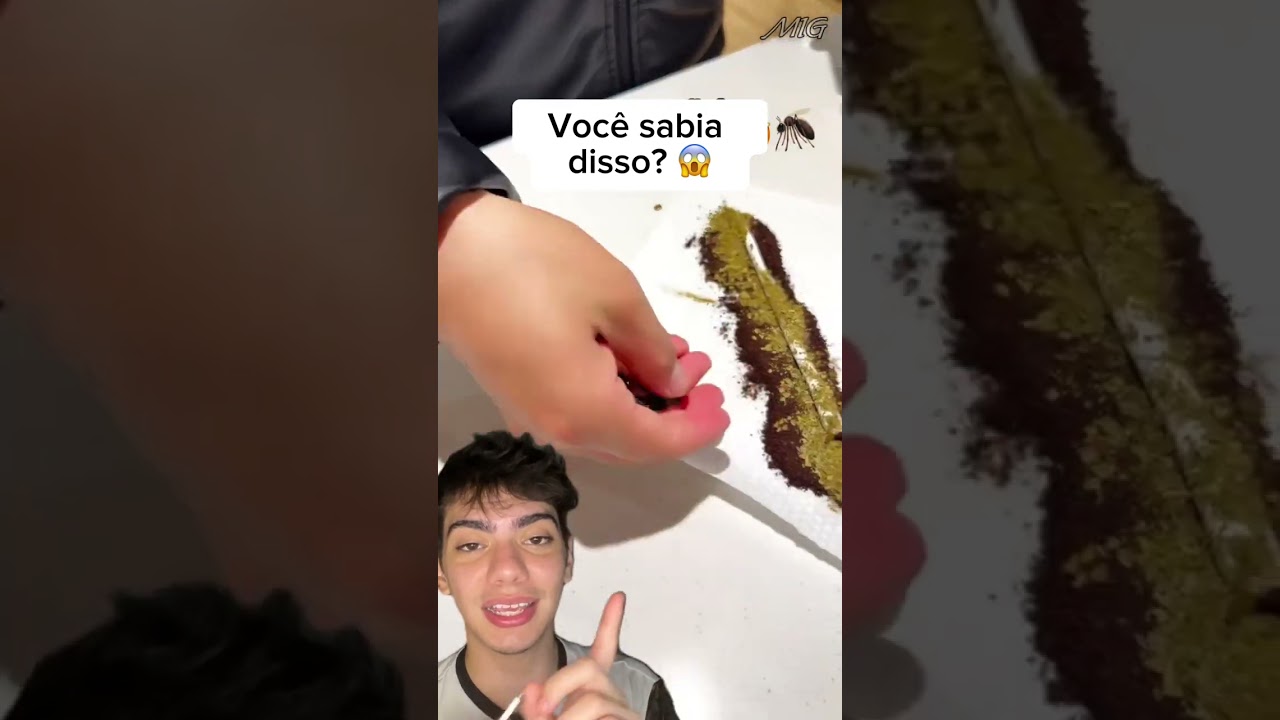 🦟 Caf&eacute; e pasta de dente: o truque simples pra afastar pernilongos de casa! 🔥