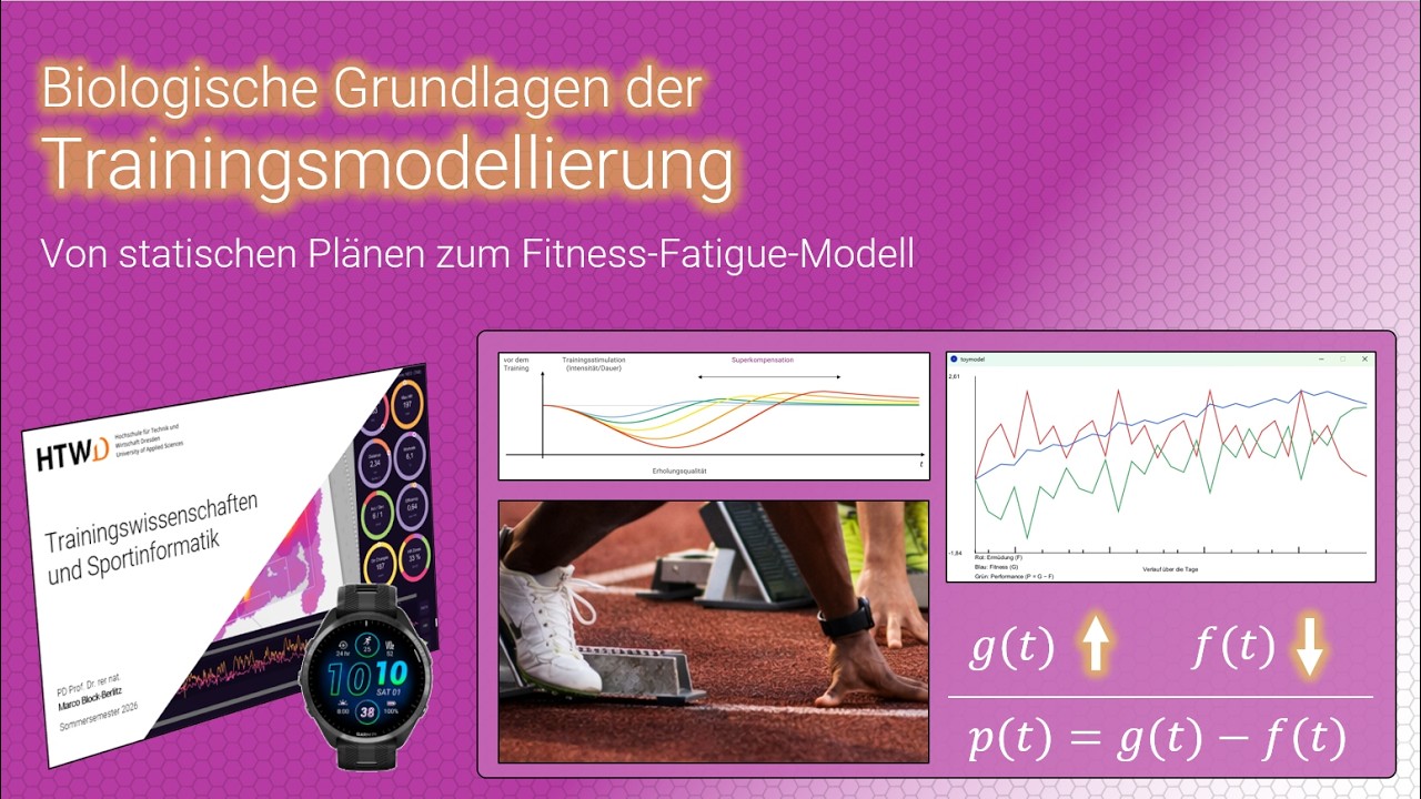 Trainingsmodellierung verstehen: Von Superkompensation zum Fitness-Fatigue-Modell