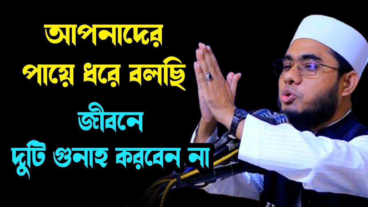 দুটি গুনাহ যদি করেন তাহলেই সর্বনাশ shahidur rahman mahmudabadi new bangla waz 2024 মাহমুদাবাদী