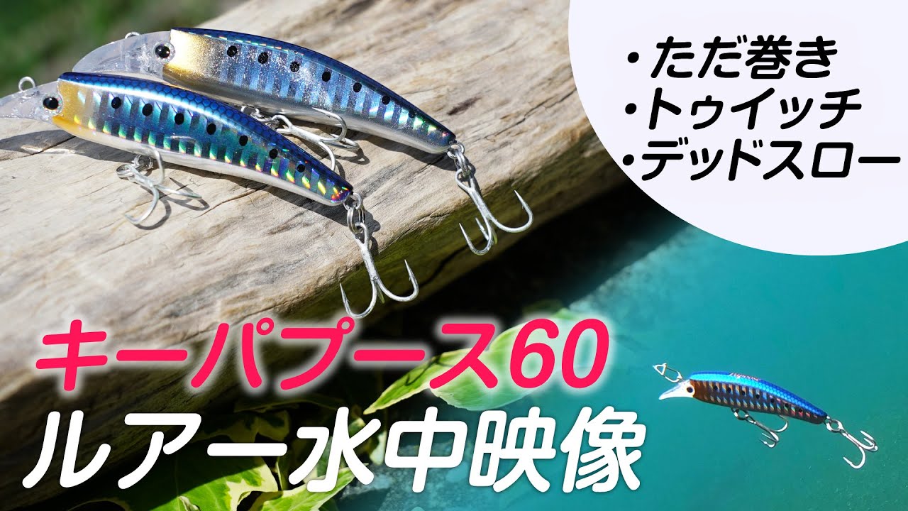 【キー・パプース60】だたのシンキングミノーじゃない！使い方一つで魚の「やる気スイッチをON」させるトリッキーなミノー