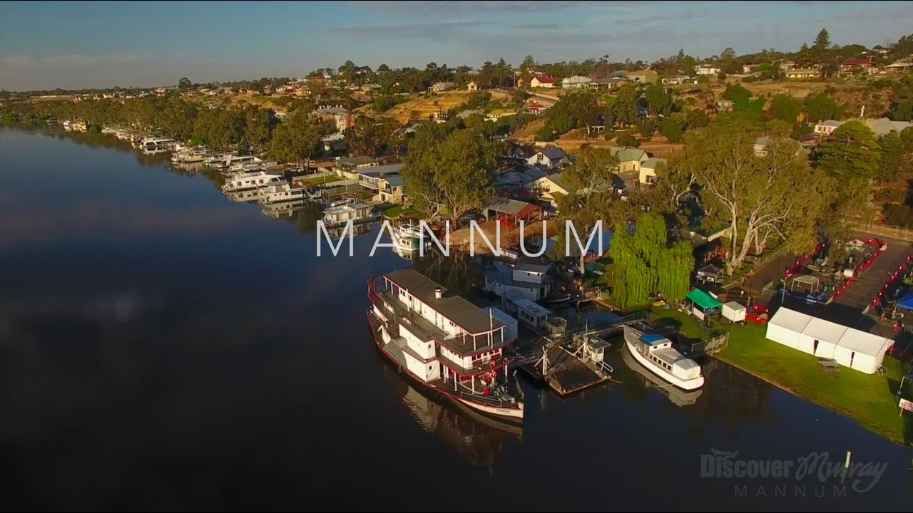 Murray River Bird  aerial video - Mannum - Discover Murray River