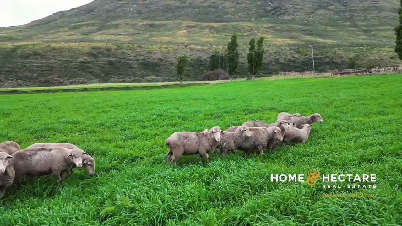 VEILING/AUCTION: 1 316 Ha in Lady Grey, Home & Hectare Rural