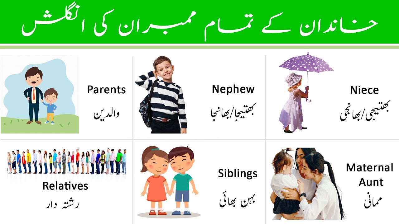 Family Members Vocabulary - Family Members in English - Family Members and Relations in Urdu