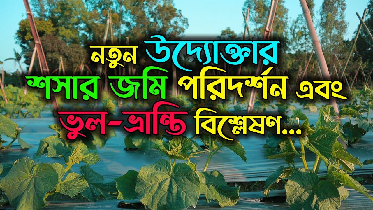 নতুন উদ্যোক্তার শসার জমি পরিদর্শন এবং ভুল ভ্রান্তি বিশ্লেষণ | Agro One- একটি আধুনিক কৃষি প্রচেষ্টা