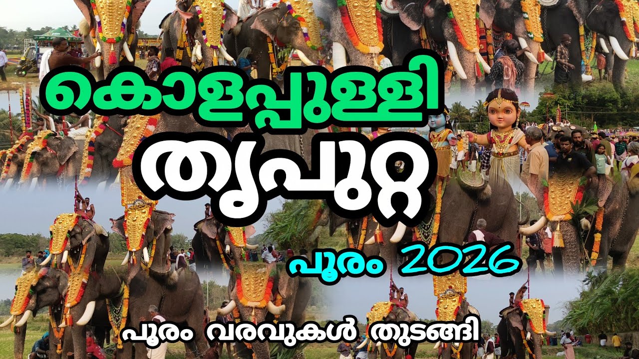 കൊളപ്പുള്ളി ത്രിപുറ്റ പൂരം 2026 കാളപ്പൂരവും ആന പൂരവും പൂരം വരവ് തുടങ്ങി #Mrcvlogs