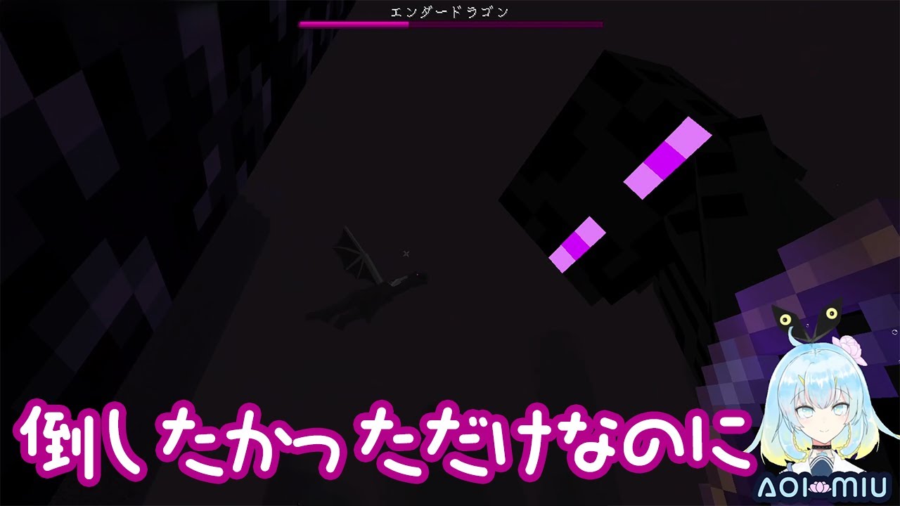 エンドラを倒したかっただけなのに【Minecraft】