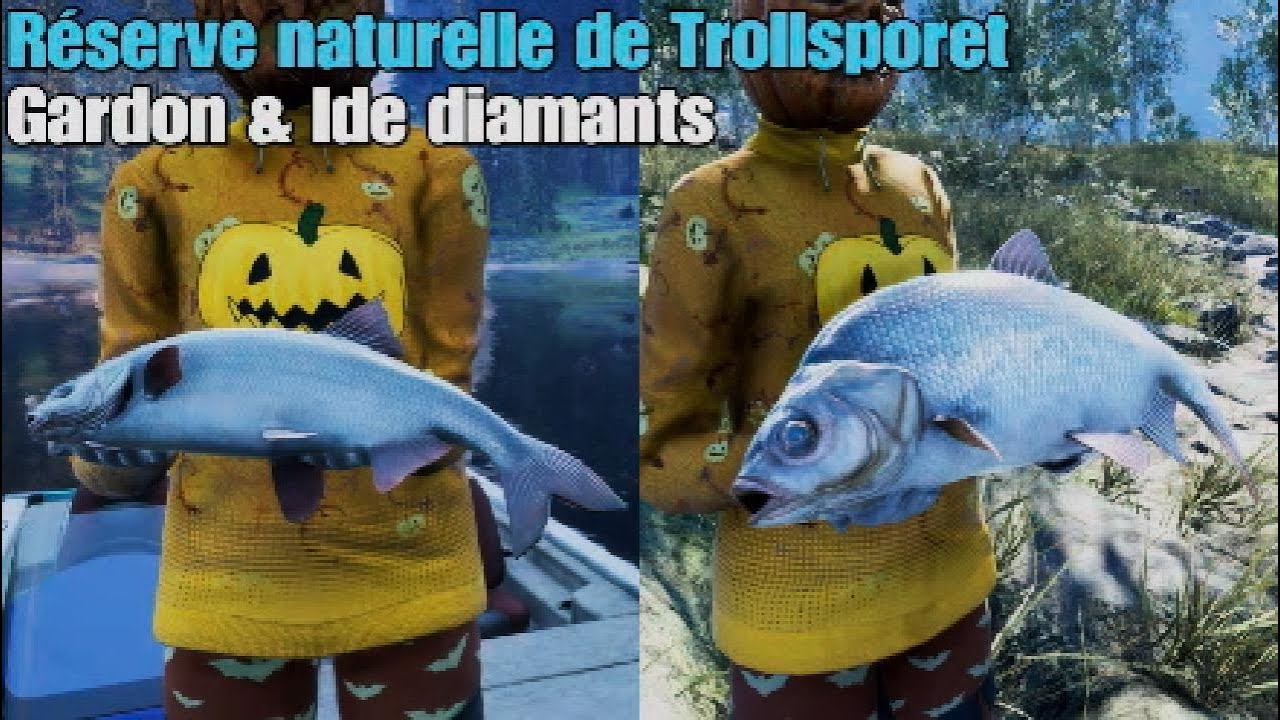 Gardon et Ide diamants sur la réserve naturelle de Trollsporet ! - Call of the wild The Angler
