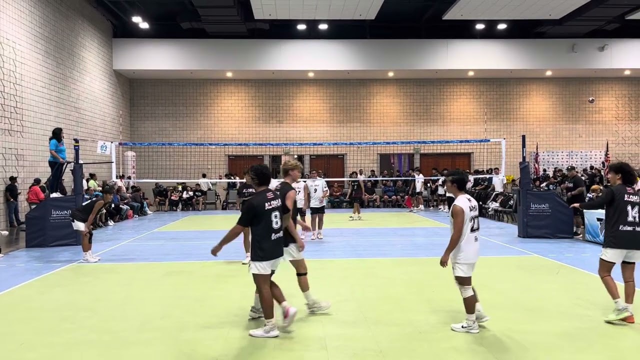 Set 3 Vs. Hi Bred 18