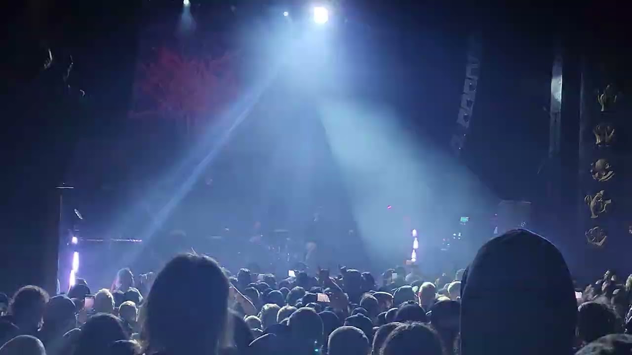 Signs of The Swarm - IWONTLETYOUDIE (live)