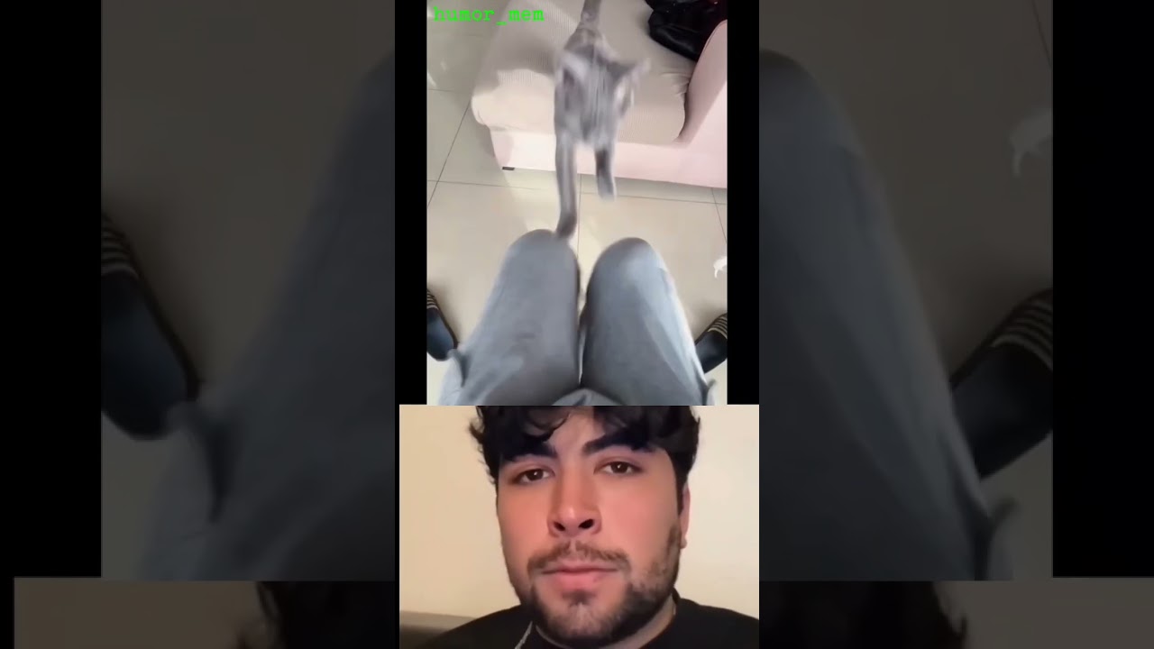 #fails #funny #failsvids #tiktokvideos #memes