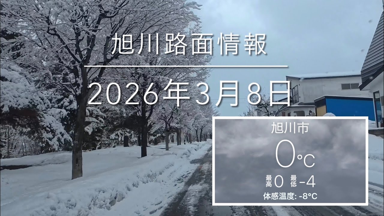 雪が積もりました！2026年3月8日 旭川路面情報