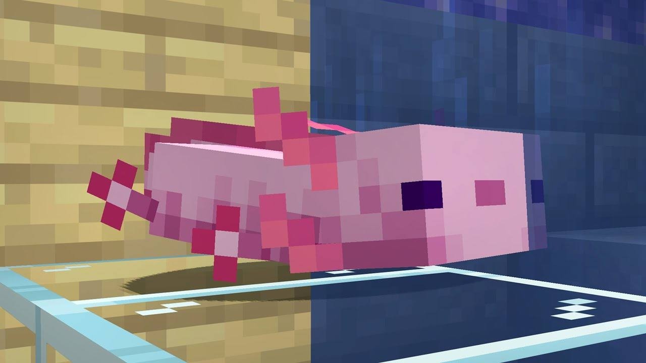 I Made the Most Unusual Aquarium in the Latest Version of Minecraft