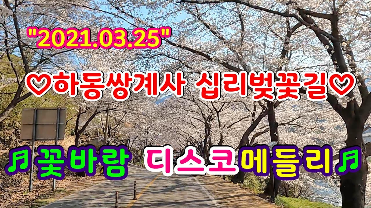 #하동쌍계사십리벚꽃길절정#꽃바람디스코메들리#뽕짝메들리#트로트메들리#관광버스디스코메들리🌹2021+03+25🌹