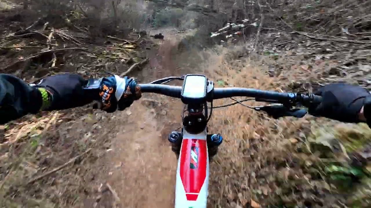 I classici trail del montello in mtb.