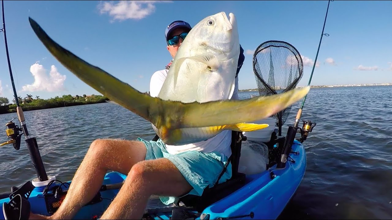 GIANT! Jack Crevalle In 2 Feet of Water!