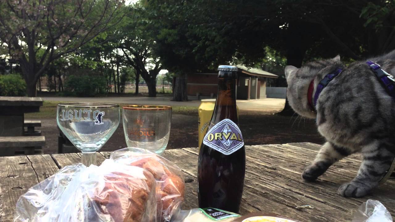 もう春です  2011~2015 井の頭公園