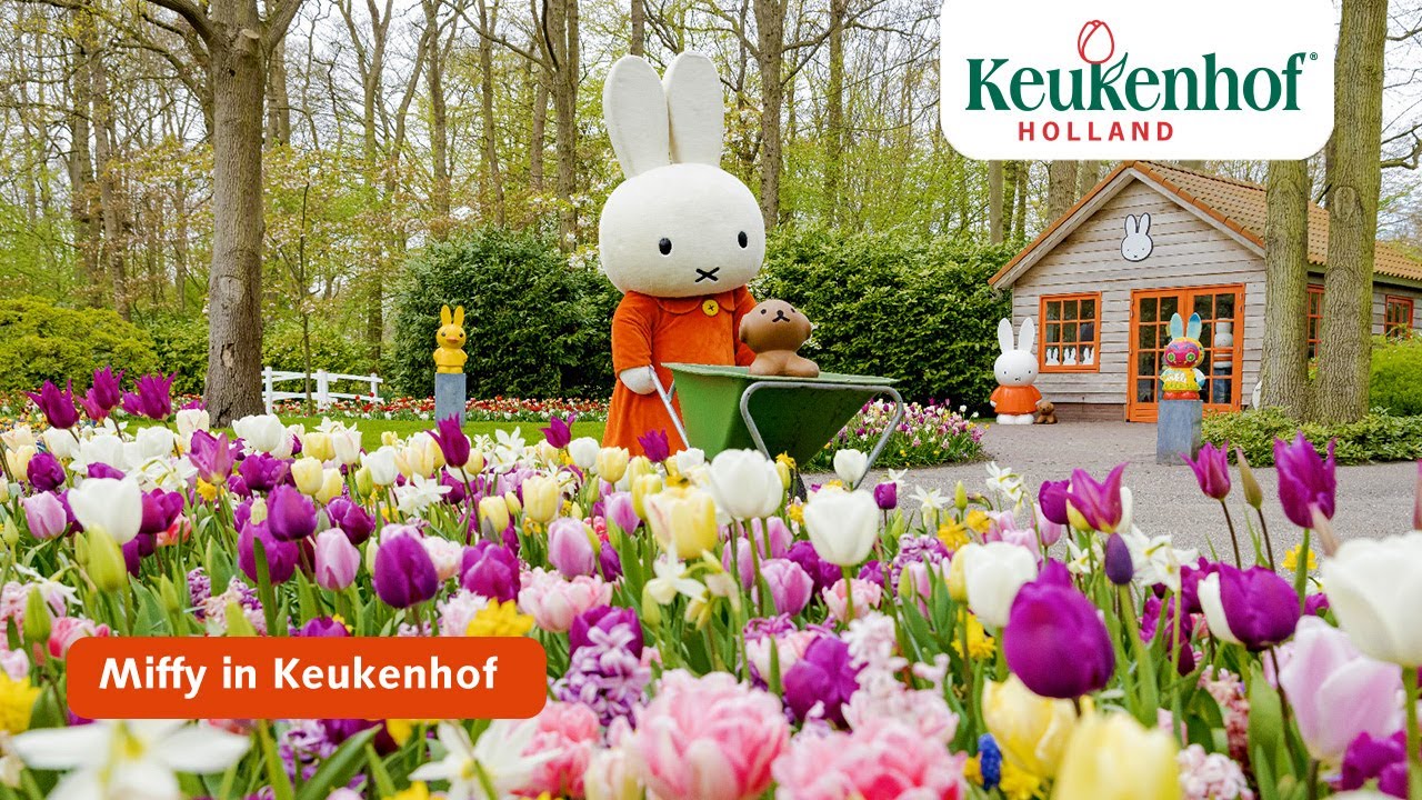 Miffy in Keukenhof! | Keukenhof 2021🌷