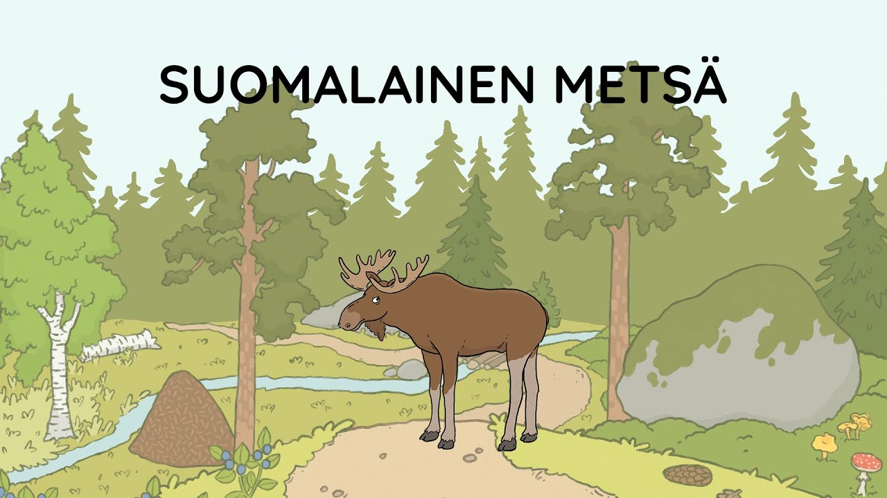 Kielinuppu - Suomalainen metsä
