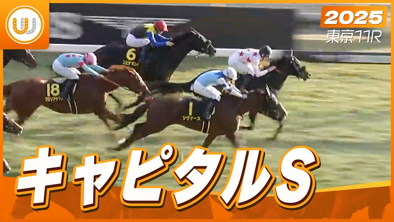 【レース映像】東京11R キャピタルS｜ミッキーゴージャス（D.レーン）｜ウイニング競馬