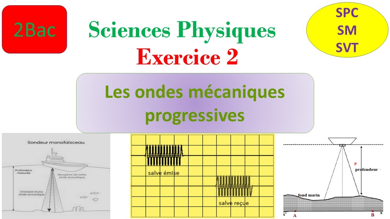 les ondes mécaniques progressives - exercice