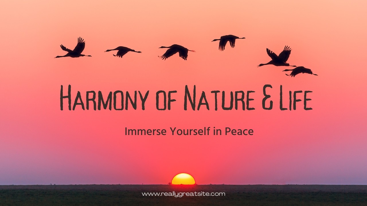 Harmony of Nature & Life | Relaxing Music & Peaceful Scenery
