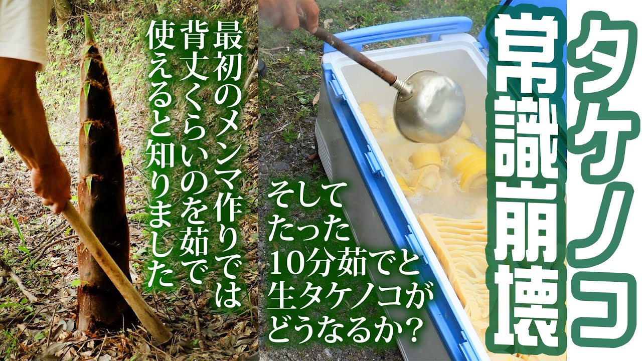 常識崩壊【タケノコ堀り茹でアク抜き保存】の一部始終思いがけない結果