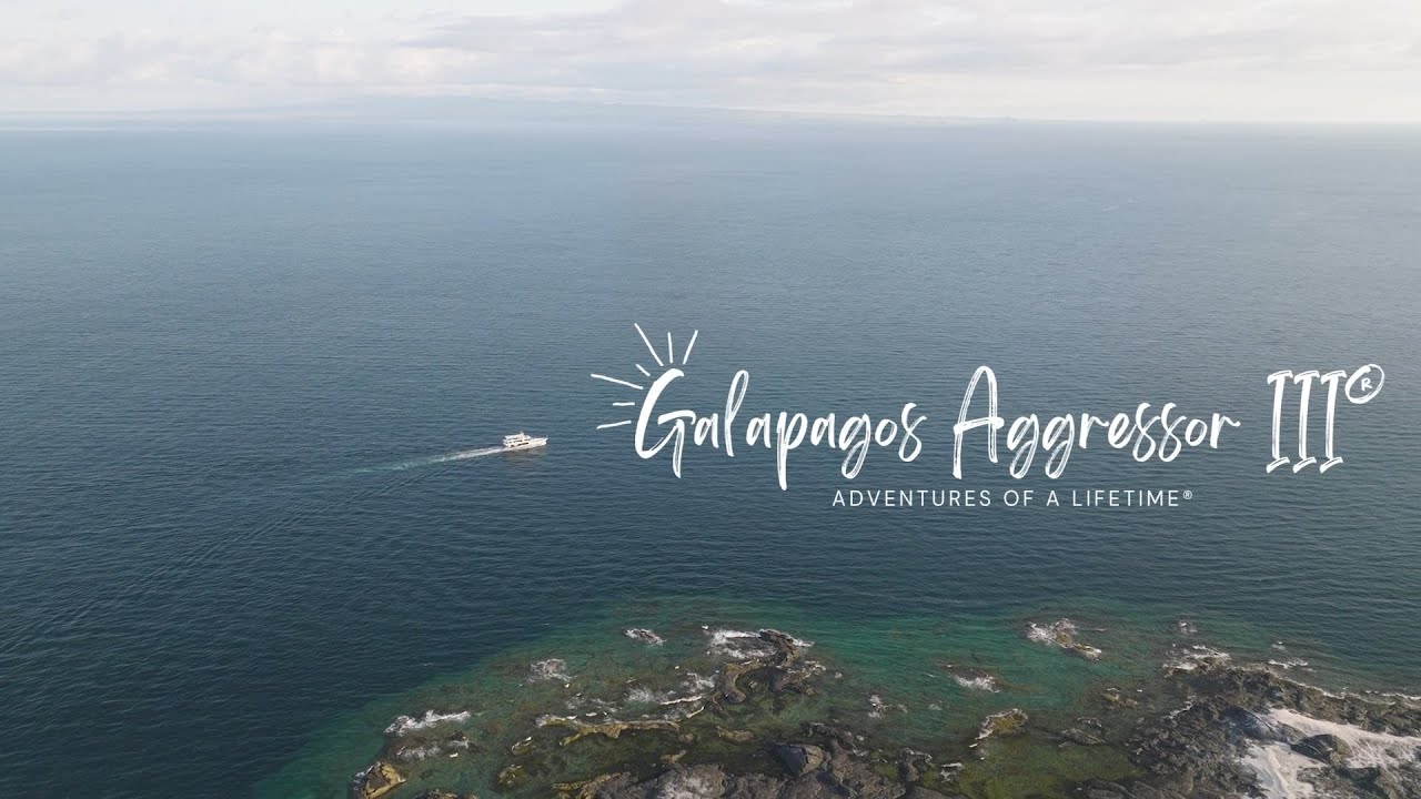 Galapagos Aggressor III | Adventures of a Lifetime | 2025