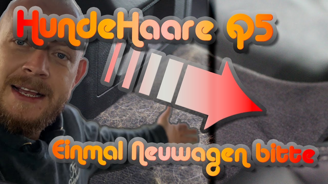 Hundehaare Audi Q5 | Einmal NEUWAGEN bitte !! | Wir testen die bekannten Tierhaar-Entferner für dich