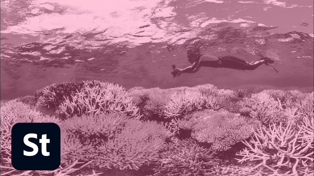Behind the Scenes of 'Chasing Coral' | Adobe Creative Cloud