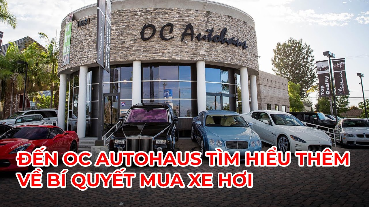 🔴LIVE: Đến OC AutoHaus tìm hiểu thêm về bí quyết mua xe hơi