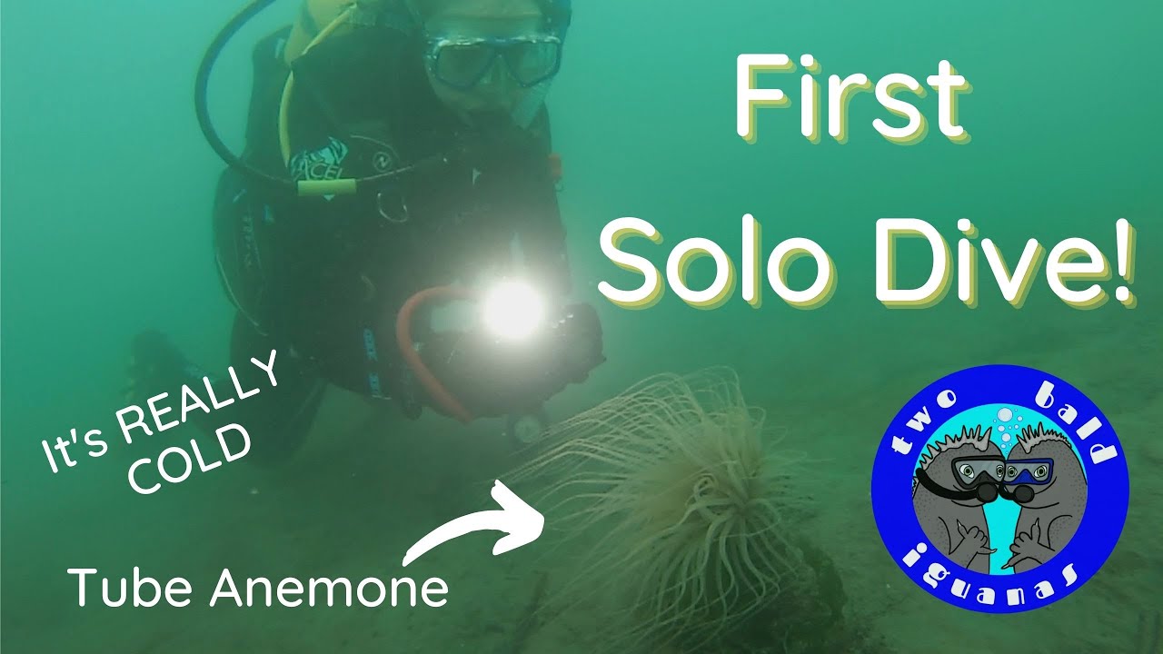 First Solo Dive! Morro Bay, CA: Coleman Beach Dive Site