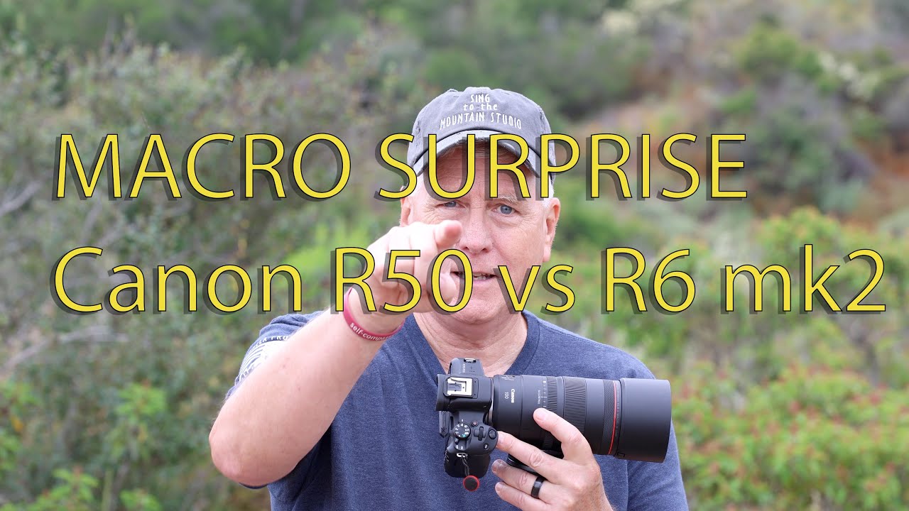 Canon R50 vs R6 mk2 Surprises doing Macro photography
