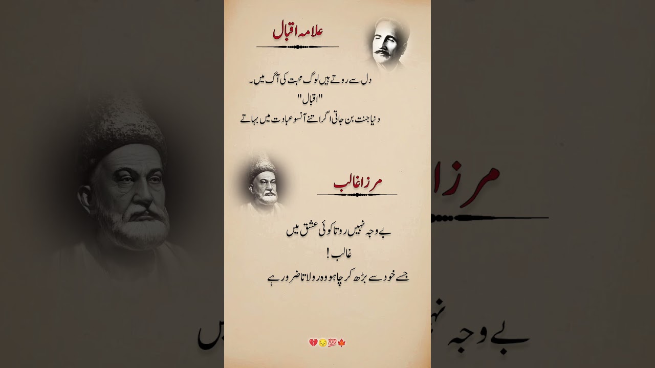 Heart Touching Poetry | Ghalib aur Iqbal ka Jazbaat 💔 #poetry