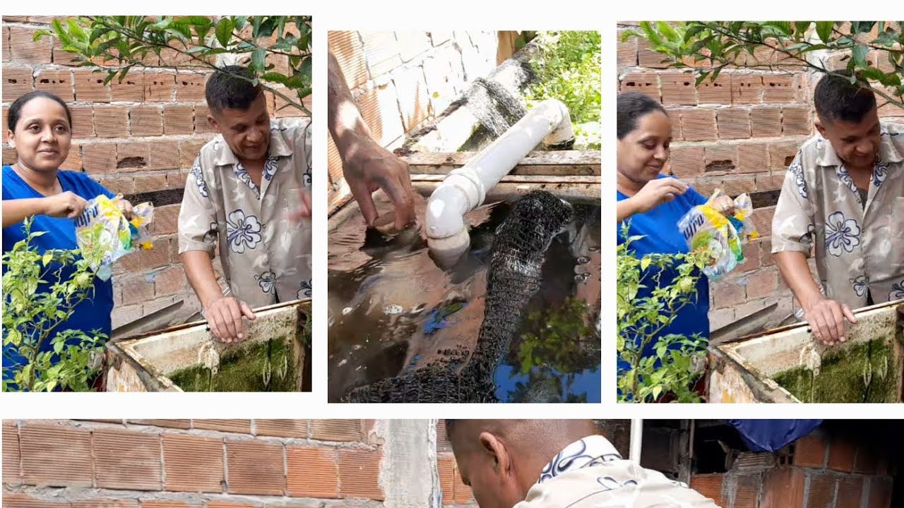 Tanque dos peixes estavam vazando pessoal!! Fizemos a manutenção dos tanques, inscreva-se 