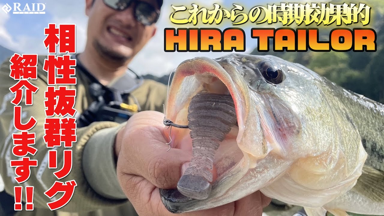 [RAID JAPAN]これからの時期効果的